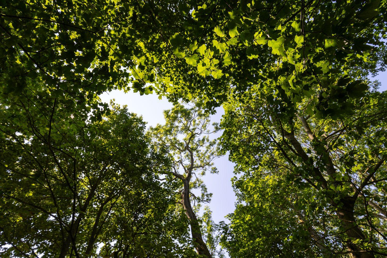 Off-grid escapes, reconnect with nature