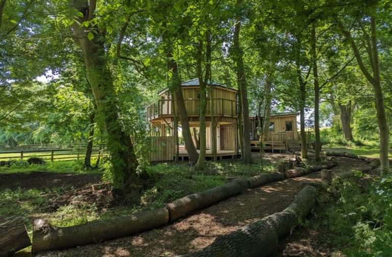 Roses Bower Treehouse, reconnect with nature