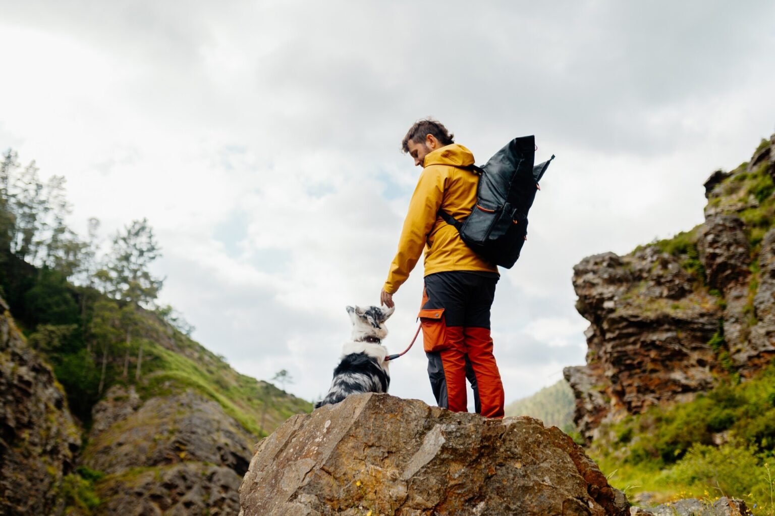 hiking with a pet, dog-friendly holidays