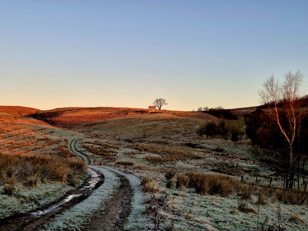 Fieldhead Off-grid escape