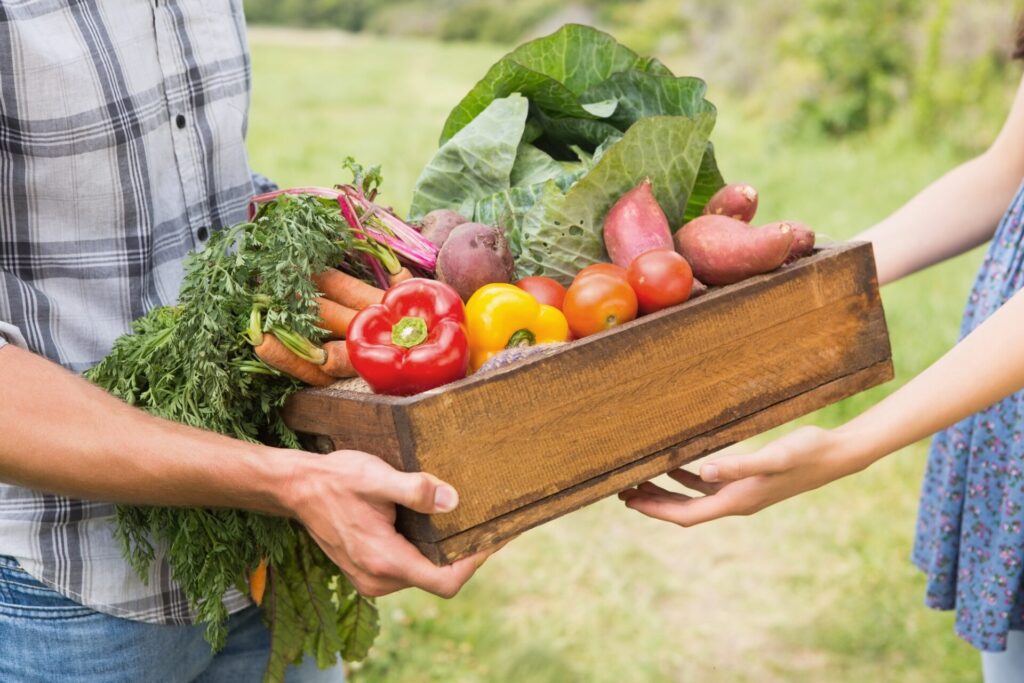local produce from farm shop