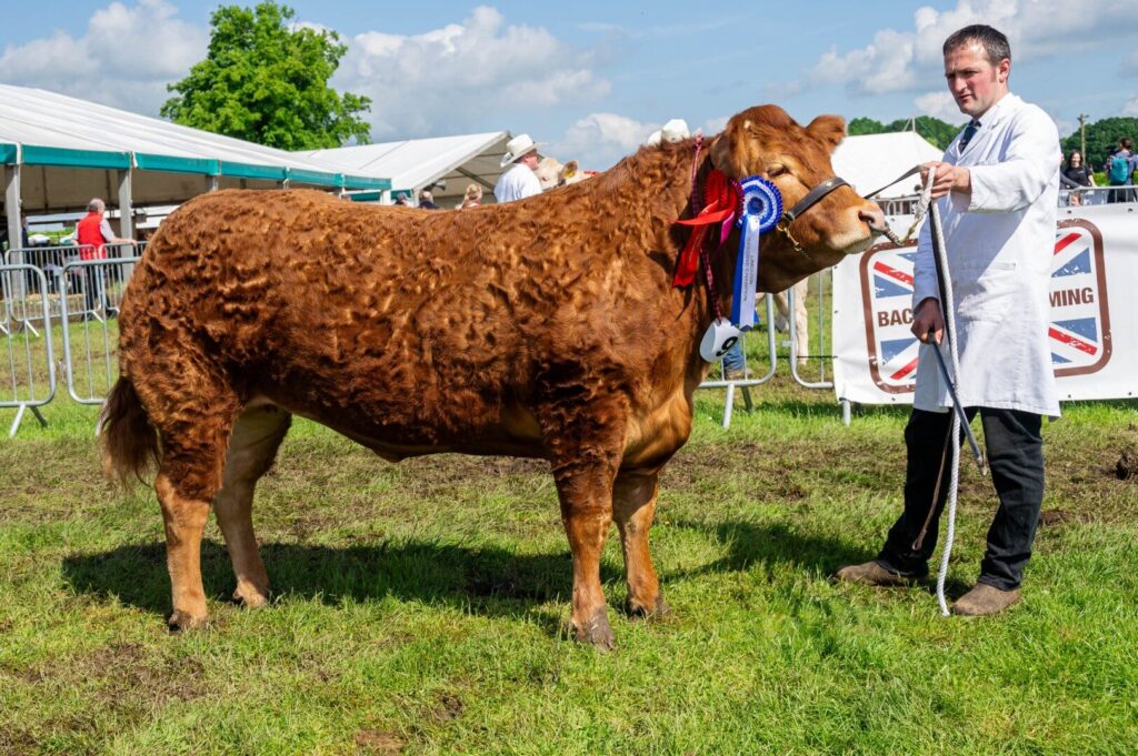 May Half-term in Northumberland - County Show
