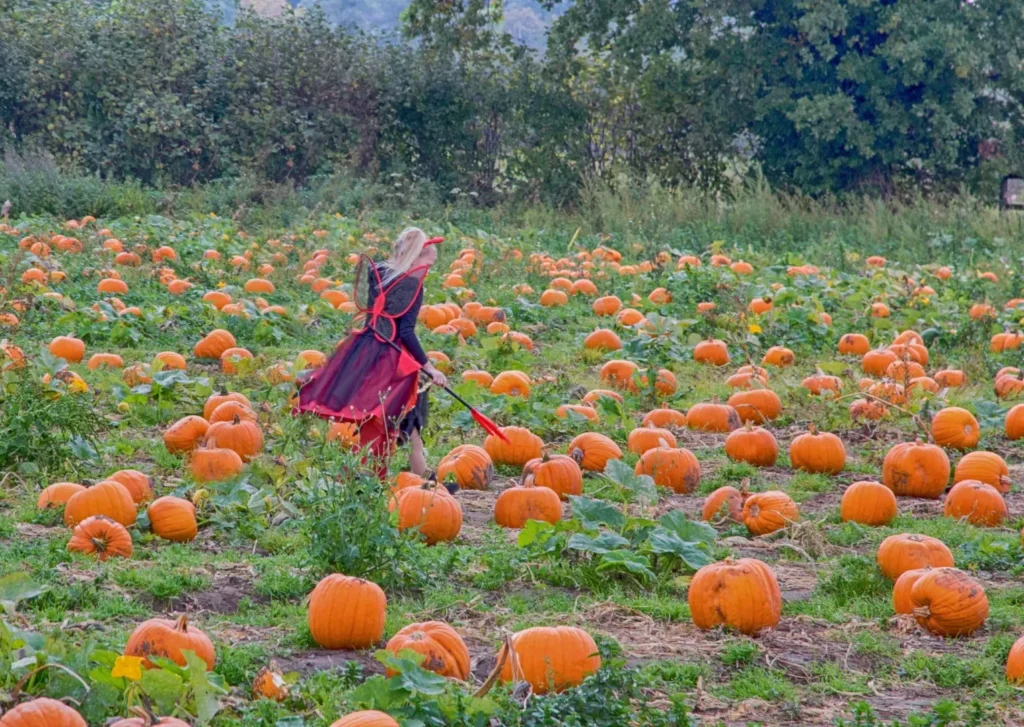 October half-term, Hexham halloween