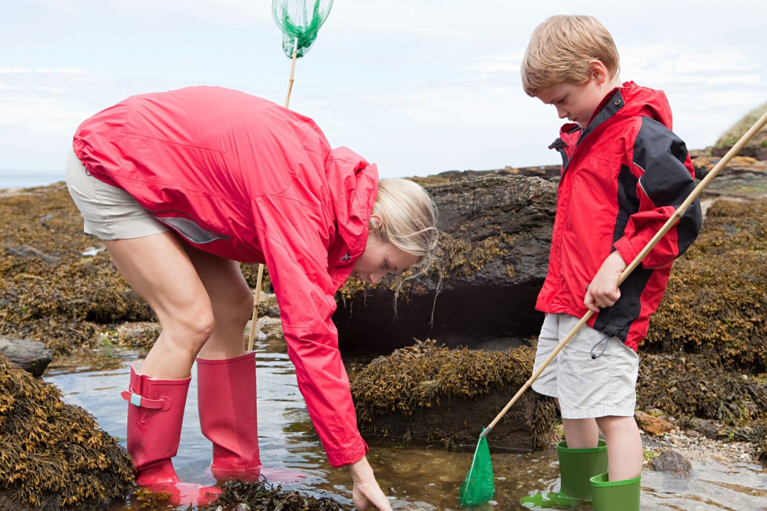 rock pooling family activities in Northumberland