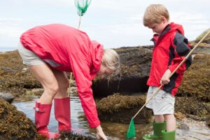 rock pooling family activities in Northumberland
