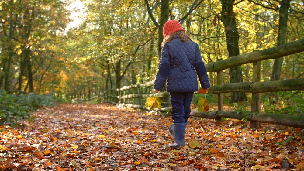 Autumn walks in Northumberland