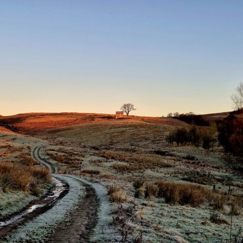 Fieldhead Off-grid escape